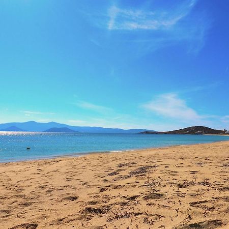 Beach Apartment Thalia With Hot Tub And Sea View Agios Prokopios  Luaran gambar