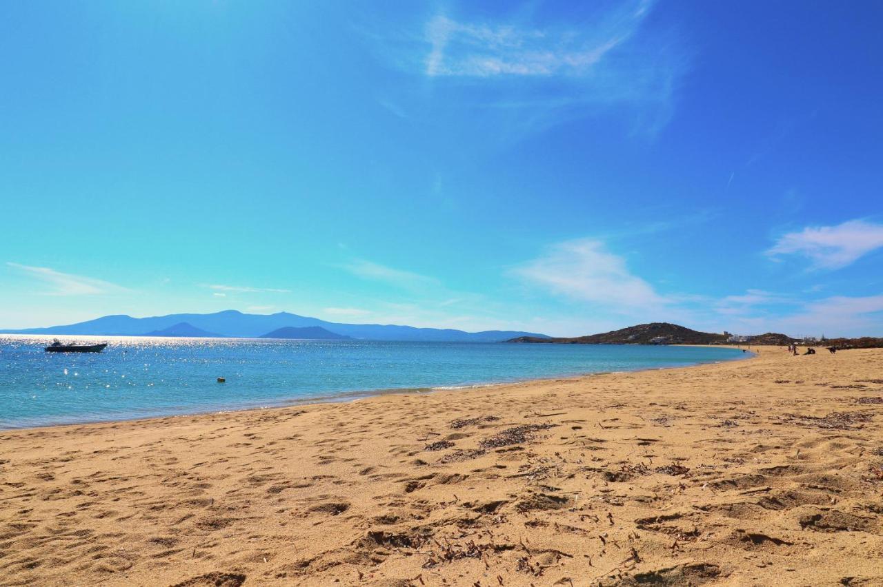 Beach Apartment Thalia With Hot Tub And Sea View Agios Prokopios  Luaran gambar