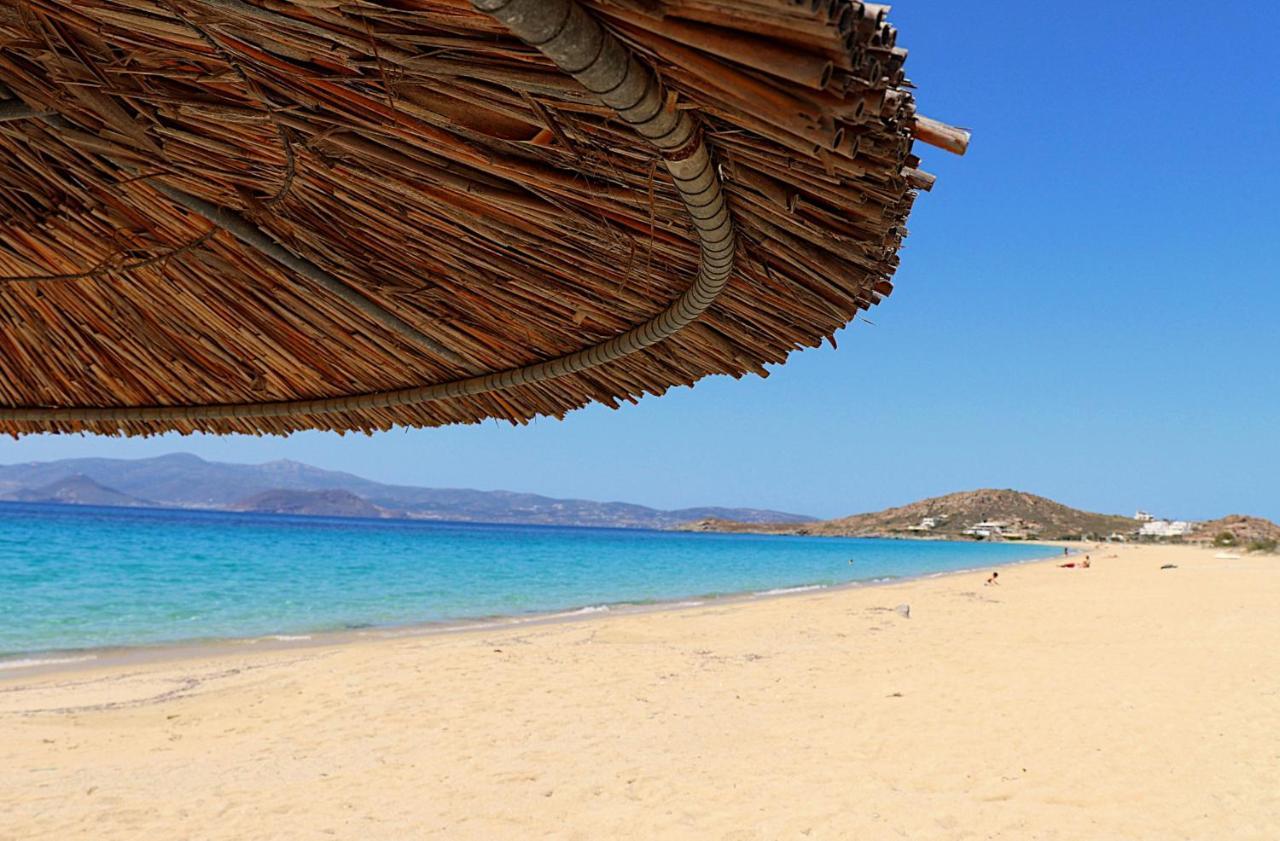 Beach Apartment Thalia With Hot Tub And Sea View Agios Prokopios  Luaran gambar